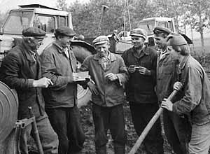 1980 год. Бригада картофелеводов колхоза 